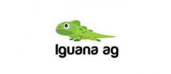 agencia-iguana-ipiranga-1427478637