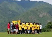 Campanha da Fraternidade