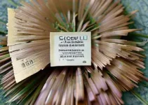 Sicredi assembleia Palmeira