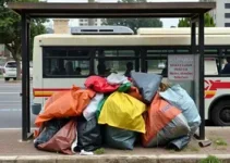 descarte irregular de lixo