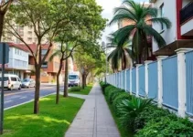 galhos atrapalham passagem de pedestres