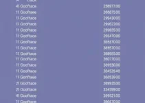 Lista de Servidores e Contatos