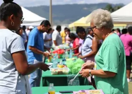 Últimas noticias de Ipiranga