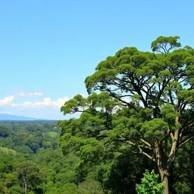 árvores do Ipiranga